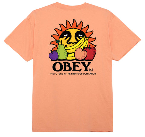 The Future is the Fruit of our Labor T-Shirt (Citrus)